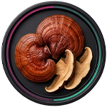 Supplement Facts panel for Saba Prime One with a list of herbal ingredients, alongside two women practicing yoga against a glowing blue background.